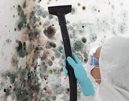 Best Environmental Consulting for Mold Prevention  in Welby, CO